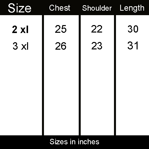 RALPH LAUREN | BIG SIZES | MEN POLO | PREMIUM QUALITY | EMBRAIDED | MAROON thumbnail 2