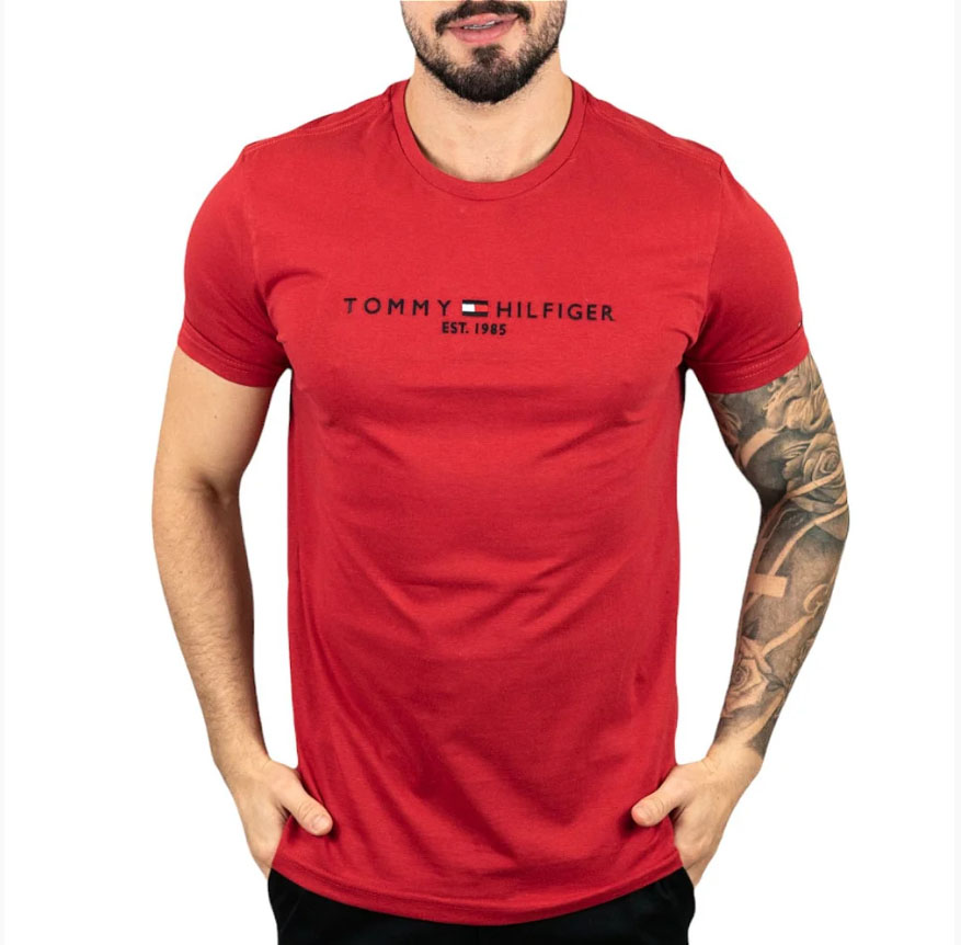 TOMMY HILFIGER, Men's T-shirt